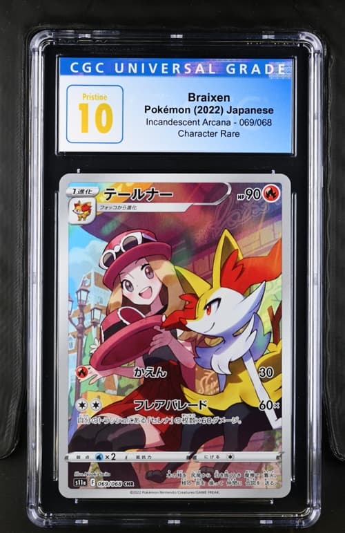 Collectible Back