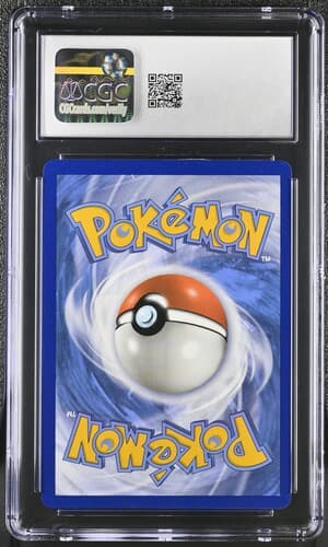 Collectible Back
