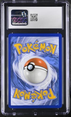 Collectible Back