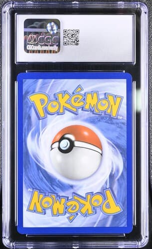 Collectible Back