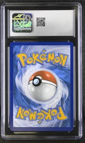 Collectible Back