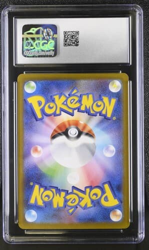Collectible Back