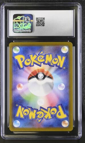 Collectible Back