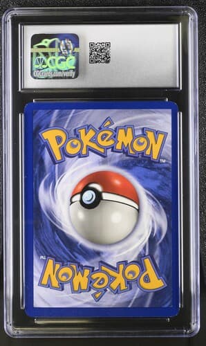 Collectible Back