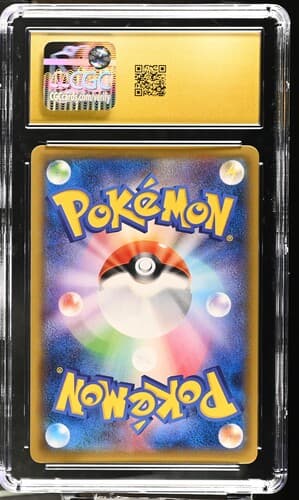 Collectible Back