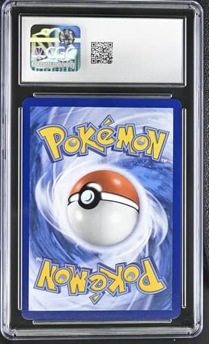 Collectible Back