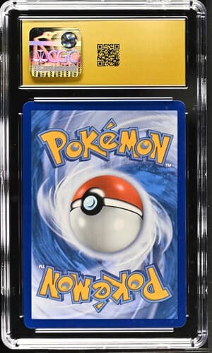 Collectible Back
