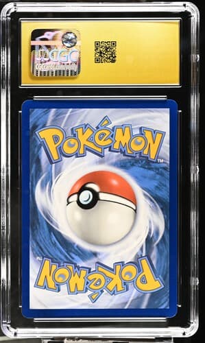 Collectible Back