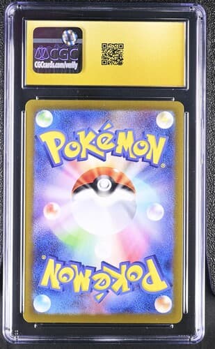 Collectible Back