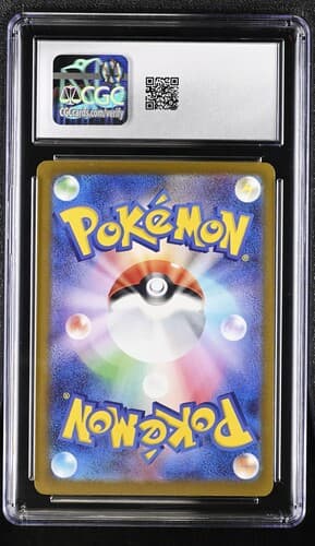 Collectible Back