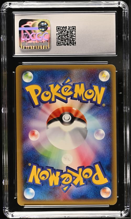 Collectible Back