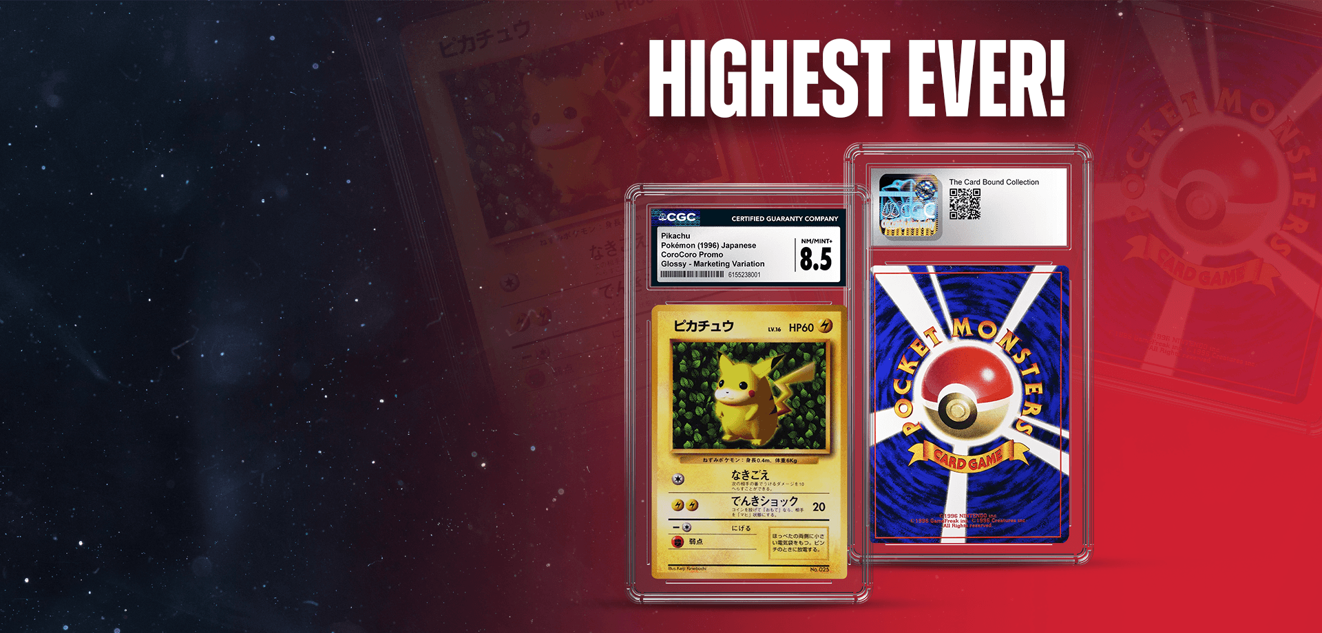 Pika Higlight Desktop 1920x920 v2