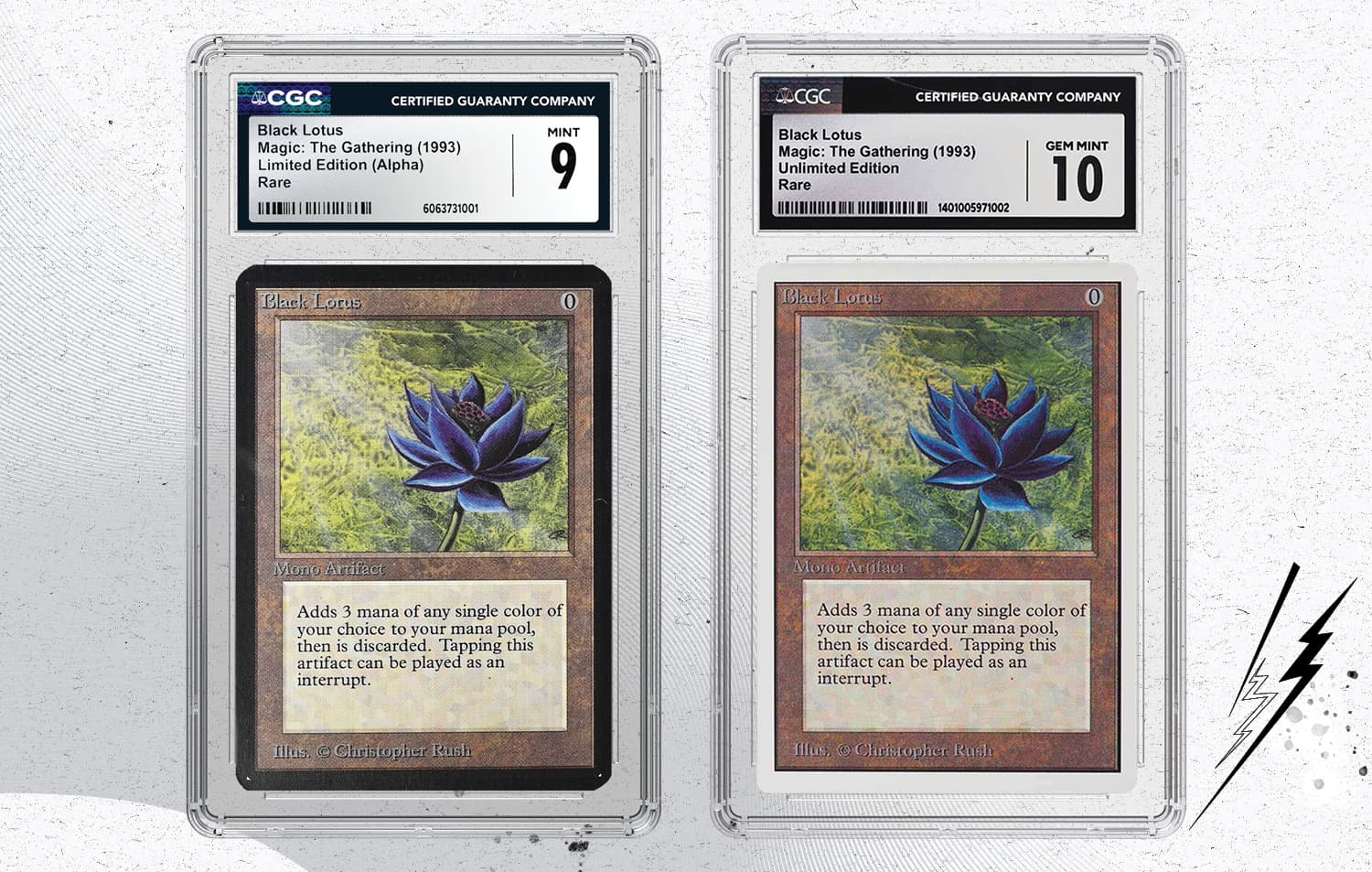 MTG Card Borders Header