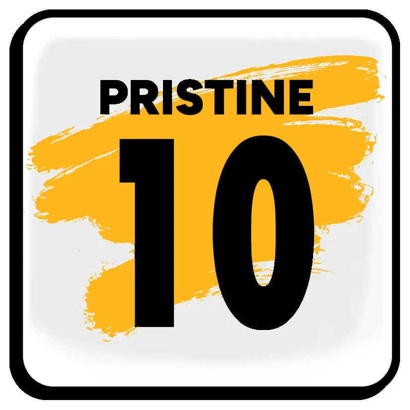 PRISTINE 10 Variant Pin c5cd959e09