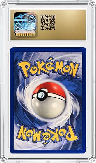 Pidgey_BK_tb20240205154600930.png