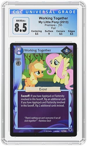 WorkingTogetherOBV (2) TB20220623141414018.png