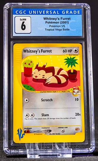 Furret_TB20210713114155269.jpg