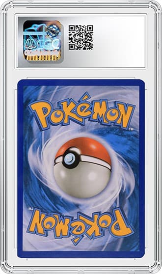 Feraligatr_bk_tb20240411143348210.png