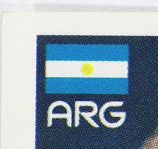 ArgentinaFlag_fake_lg20260604204723938.png