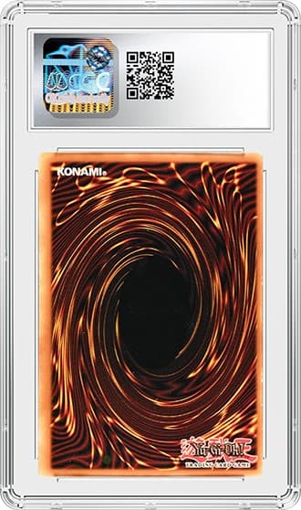 Stardust_BK_tb20240524133825421.png