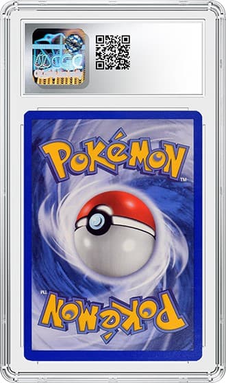 Charizard_bk_tb20240911160701647.png