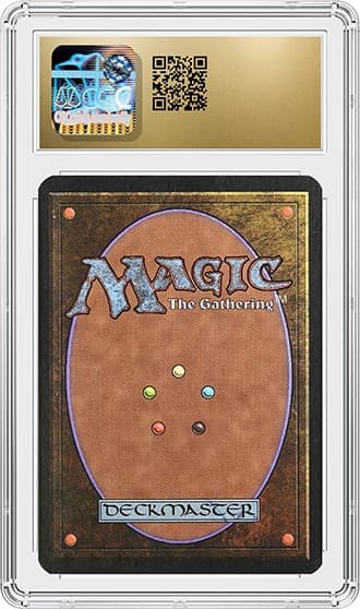 Ancestral_BK_tb20231206132816643.png