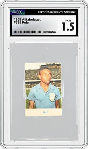 Pele_1.5_1401008354-002_OBV_tb20231018111013624.jpg