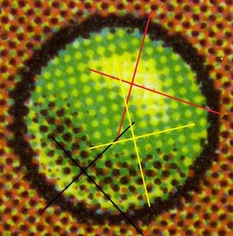 DotTest_Gen_FR_tb20231205113735098.jpg