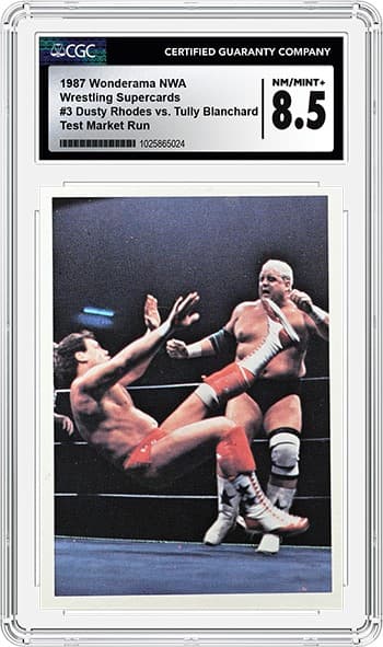 Dusty Rhodes vs Tully Blanchard 8.5_1025865024_tb20240906161933806.png