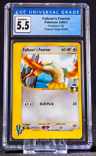 Fearow_TB20210713114122274.jpg