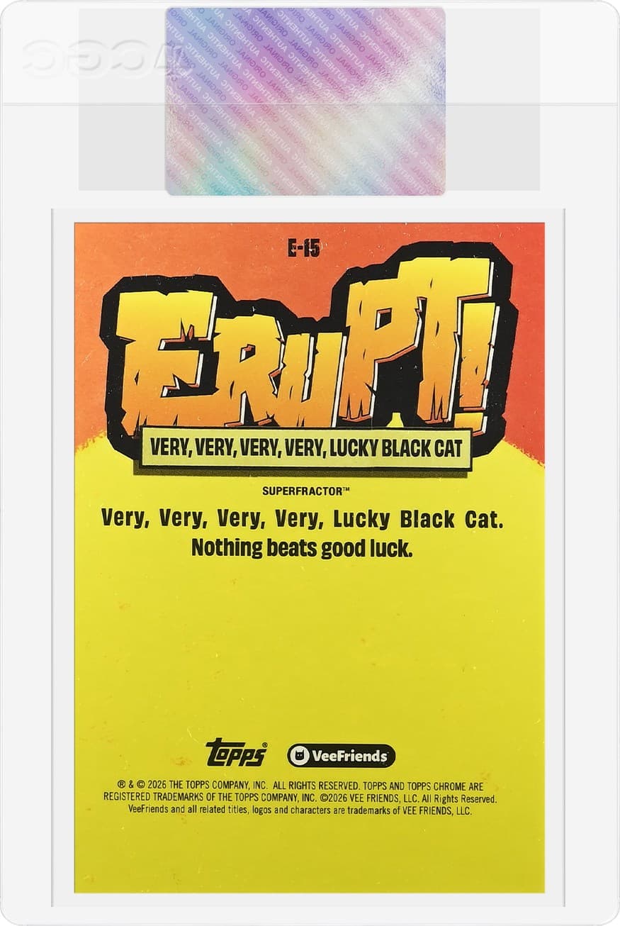 Very Lucky Black Cat 6191074001_REV_PlasticSleeve20260811184759722.png