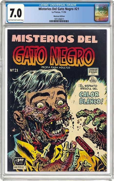 Misterios Del Gato Negro 21_7.0_1051284011_OBV_WEB20251016082109325.png