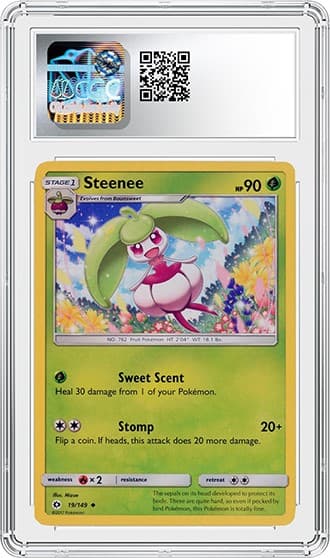 Steenee_bk_tb20240411092955882.png