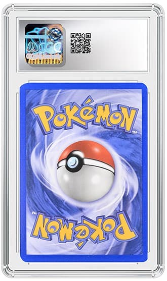Torchic_BK_tb20260604140445937.png