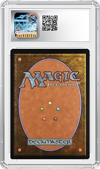 Liliana_bk_tb20240807142452465.png