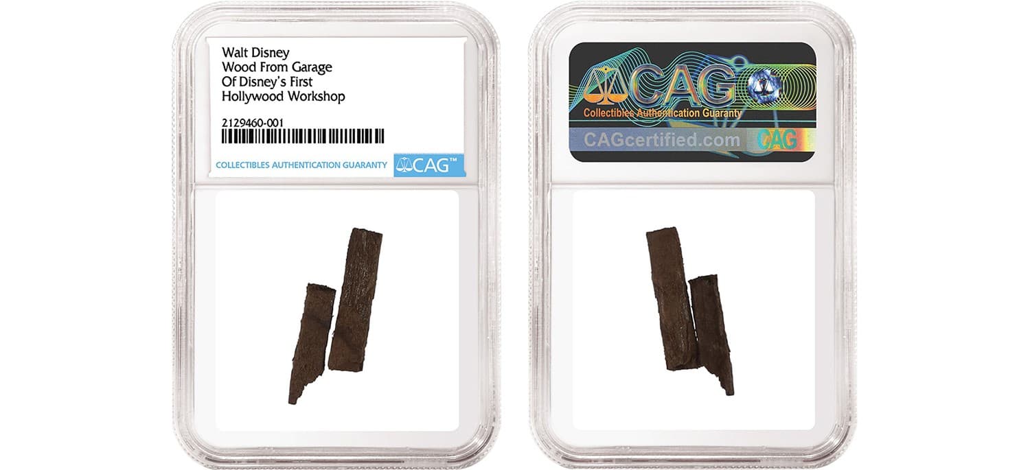 Disney CAG20230217141723993.jpg