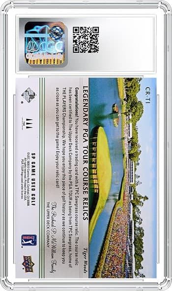 Tiger Woods 9_1401002253212_REV_tb20250402171929039.png