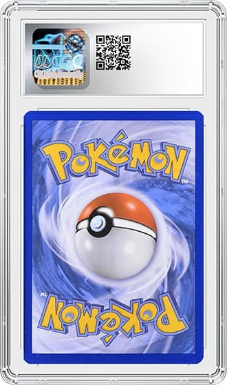 Kyogre_bk_tb20240905162626749.png