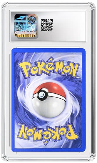 Sabrina's Gengar_BK_tb20260428144916666.png