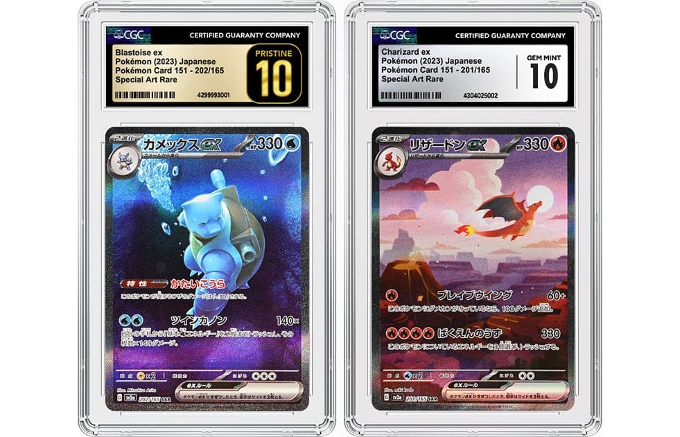 TCG_article20230913123211849.png