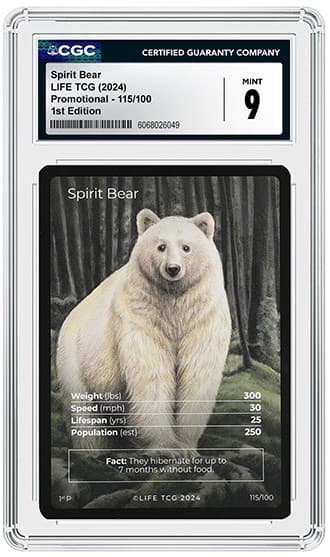 Spirit Bear_FR_tb20260609134156511.png