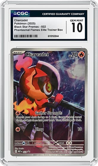 Charcadet_FR_tb20260409131221652.png