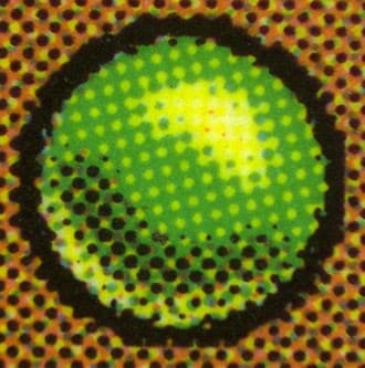 GreenDotFake_FR_tb20231205112739462.jpg