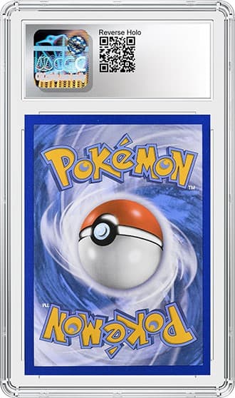 Charmander_BK_tb20250725121551647.png