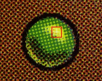 GreenDotGen_tb20240206093507882.jpg