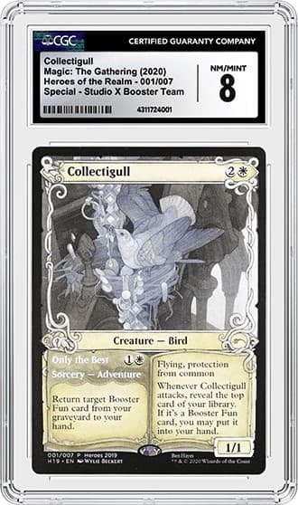 Collectigul_FR_tb20230907141949629.png