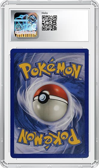 Kangaskhan_bk_tb20240411153838526.png