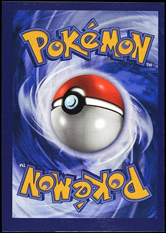 Fake Charizard_BK_tb20250801133324766.jpg