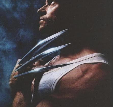 Wolverine.jpg
