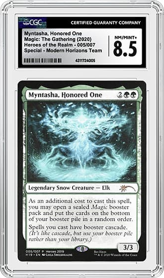 Myntasha_FR_tb20230907142425129.png